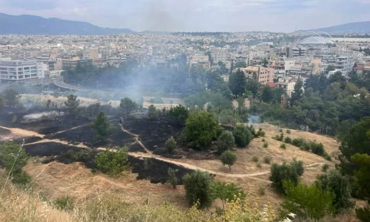«Καμπανάκι» από τη ΛΑ.ΣΥ. Νέας Ιωνίας με αφορμή τη φωτιά στο Άλσος Βεΐκου