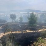 Από κάπνισμα μελισσών η φωτιά στο λόφο της Φιλοθέης 