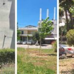 Νέα δένδρα φυτεύτηκαν στο Ηλιακό Χωριό Πεύκης