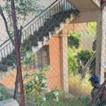 Δημοτικοί υπάλληλοι καθαρίζουν οικόπεδα ιδιωτών στη Νέα Πεντέλη