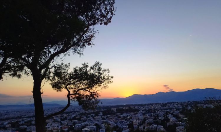 Προστατεύει το δάσος του Αγίου Θεοκλήτου η Δράση για μία Άλλη Πόλη