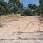 Λυκόβρυση – Πεύκη Μαζί: Ερωτήματα για τους χειρισμούς του Δήμου στο δάσος Κάσδαγλη