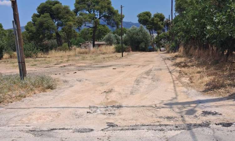 Λυκόβρυση – Πεύκη Μαζί: Ερωτήματα για τους χειρισμούς του Δήμου στο δάσος Κάσδαγλη