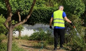 Κρούσμα λοίμωξης από τον ιό του Δυτικού Νείλου στον Δήμο Παπάγου – Χολαργού