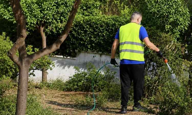 Κρούσμα λοίμωξης από τον ιό του Δυτικού Νείλου στον Δήμο Παπάγου – Χολαργού