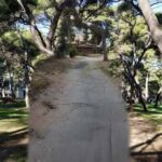 Τι προτείνει η Πρωτοβουλία Πολιτών για να σωθεί το δάσος Κάσδαγλη