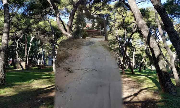 Τι προτείνει η Πρωτοβουλία Πολιτών για να σωθεί το δάσος Κάσδαγλη