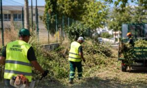 Εκτεταμένοι καθαρισμοί και αποψιλώσεις στον Δήμο Πεντέλης