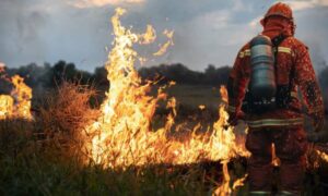 Πολύ υψηλός κίνδυνος πυρκαγιάς στην Περιφέρεια Αττικής την Πέμπτη 30/7