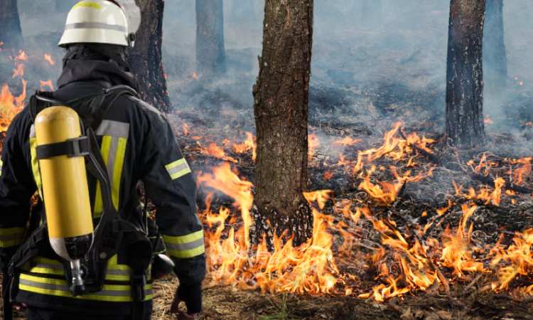 Πολύ υψηλός κίνδυνος πυρκαγιάς στην Περιφέρεια Αττικής στις 23/7