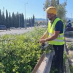 Ολοκληρώθηκαν οι εργασίες συντήρησης πρασίνου και ευπρεπισμού επί της οδού Σπ. Λούη