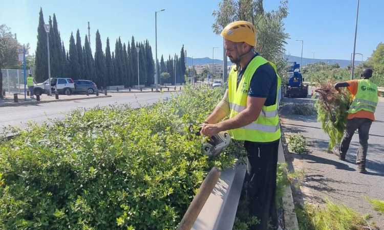 Ολοκληρώθηκαν οι εργασίες συντήρησης πρασίνου και ευπρεπισμού επί της οδού Σπ. Λούη