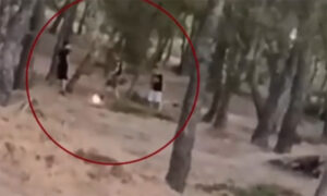Challenge ανηλίκων μέσα σε δάσος στα Άνω Βριλήσσια – Βάζουν φωτιά και μετά προσπαθούν να τη σβήσουν