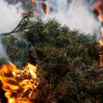 Πολύ υψηλός κίνδυνος πυρκαγιάς την Τετάρτη 6 Αυγούστου στην Αττική