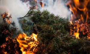 Πολύ υψηλός κίνδυνος πυρκαγιάς την Τετάρτη 5 Αυγούστου στην Αττική