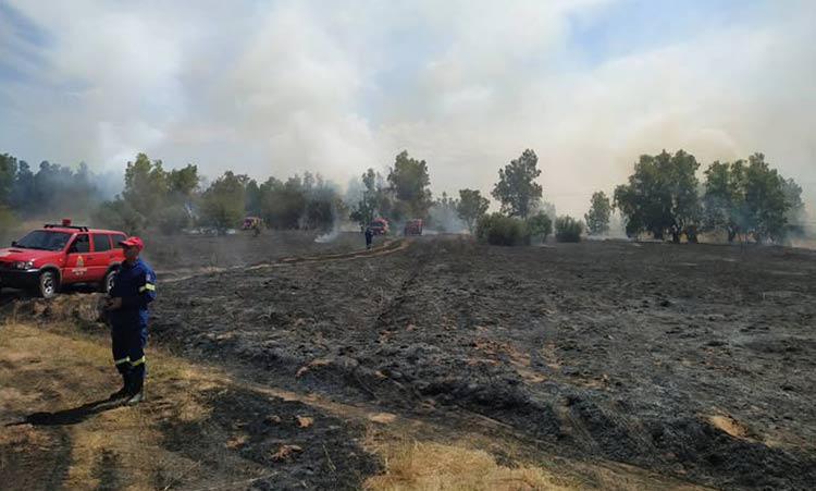 «Τεσσάρι» την Κυριακή 2/8 στην Περιφέρεια Αττικής – Αυξημένη επιφυλακή της Πυροσβεστικής