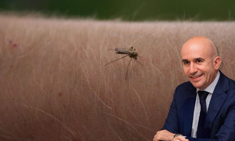 Λυκόβρυση Πεύκη Μαζί: Τι μέτρα πρόληψης πήρε ο Δήμος για τον ιό του Δυτικού Νείλου;