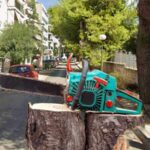 Ν. Ιωνία: Στην Κάλβου… πέφτουν δένδρα