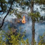 Πολύ υψηλός κίνδυνος πυρκαγιάς στην Αττική την Τρίτη 10 Αυγούστου