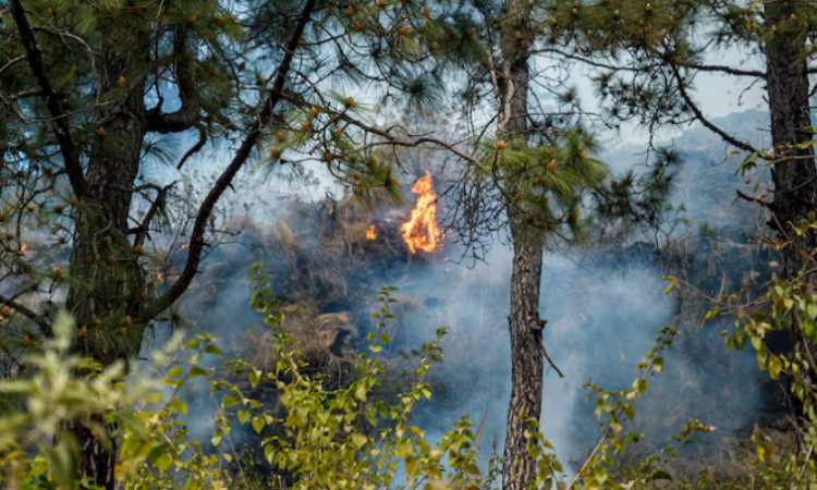 Πολύ υψηλός κίνδυνος πυρκαγιάς στην Αττική την Τρίτη 11 Αυγούστου