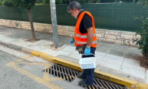Κρούσμα λοίμωξης από τον ιό του Δυτικού Νείλου στον Δήμο Βριλησσίων