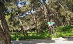 Οριστικά δάσος οι «Εξοχές Χωροφυλακής» στα Μελίσσια