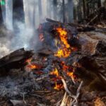Παραμένει πολύ υψηλός ο κίνδυνος πυρκαγιάς  στην Αττική και στις 6/8