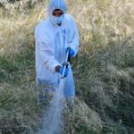 Ψεκασμοί κατά των κουνουπιών στον Δήμο Παπάγου – Χολαργού