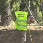 Ξεκίνησε ο 13ος κύκλος καταπολέμησης κουνουπιών στον Βόρειο Τομέα Αθηνών