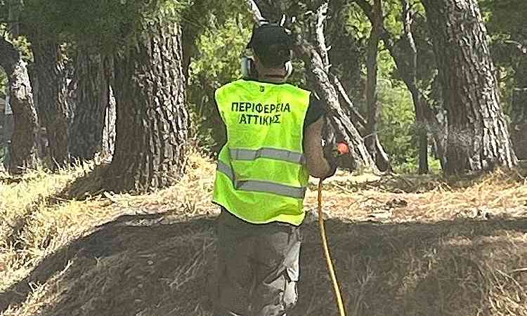 Ξεκίνησε ο 13ος κύκλος καταπολέμησης κουνουπιών στον Βόρειο Τομέα Αθηνών