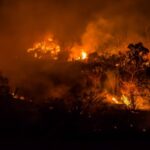 Φωτιά στην Αττικοβοιωτία: Kάηκαν περισσότερα από 61.500 στρέμματα σε δύο νύχτες