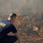 Σύλληψη τριών ανηλίκων για τη φωτιά στα Τουρκοβούνια