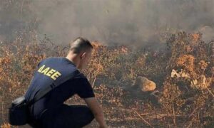 Σύλληψη τριών ανηλίκων για τη φωτιά στα Τουρκοβούνια