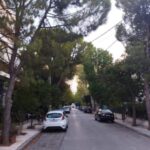Ανδρ. Γκιζιώτης: Να ανακληθεί η απόφαση για την κοπή έξι δένδρων στην Αγία Παρασκευή
