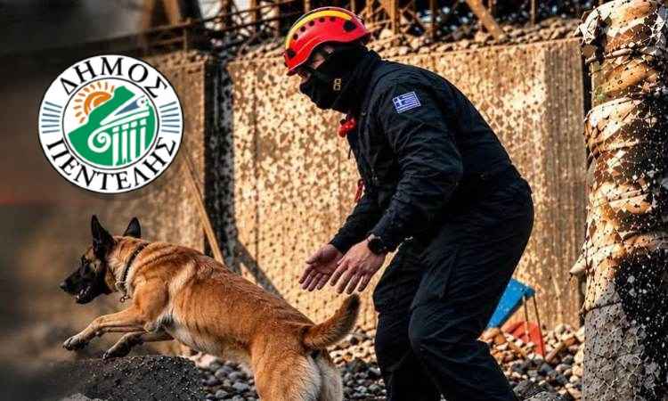 Εξώδικο Δήμου Πεντέλης στην ANUBIS – Γιατί της ζητά να αποχωρήσει από τον χώρο των πρώην κατασκηνώσεων