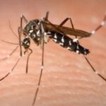 Σε εξασθένηση βρίσκεται το φαινόμενο του ιού του Δυτικού Νείλου στην Αγία Παρασκευή
