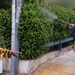 Νέο κρούσμα λοίμωξης από τον ιό του Δυτικού Νείλου στον Δήμο Παπάγου – Χολαργού
