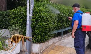 Νέο κρούσμα λοίμωξης από τον ιό του Δυτικού Νείλου στον Δήμο Παπάγου – Χολαργού