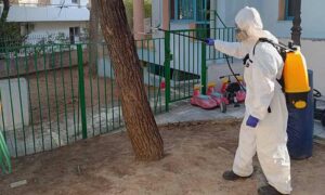 Κουνουποκτονίες στην Πεύκη τη Δευτέρα 7/9