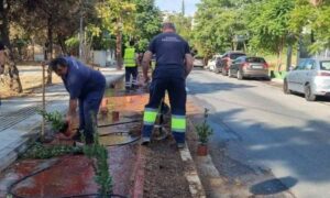Συνεχίζεται το πρόγραμμα συντήρησης πρασίνου και ευπρεπισμού στο Μαρούσι