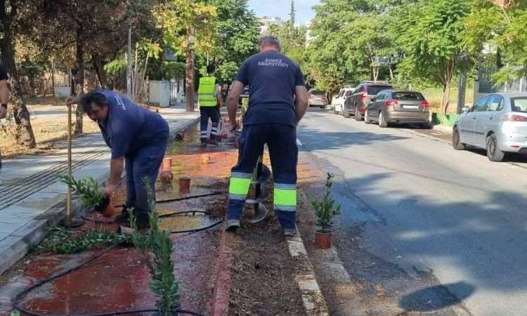 Συνεχίζεται το πρόγραμμα συντήρησης πρασίνου και ευπρεπισμού στο Μαρούσι