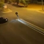 Ταυτοποιήθηκε ο 25χρονος οδηγός που έκανε «ντρίφτινγκ» στον Χολαργό
