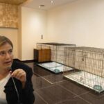 «Το Διαδημοτικό Κτηνιατρείο Αμαρουσίου – Κηφισιάς δεν μπορεί να λειτουργήσει ως ιατρείο»